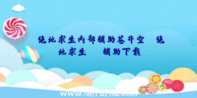 「绝地求生内部辅助苍井空」|绝地求生xhj辅助下载